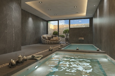 Da Vinci Indoor Pool and Jacuzzi by Ferullo Group sl